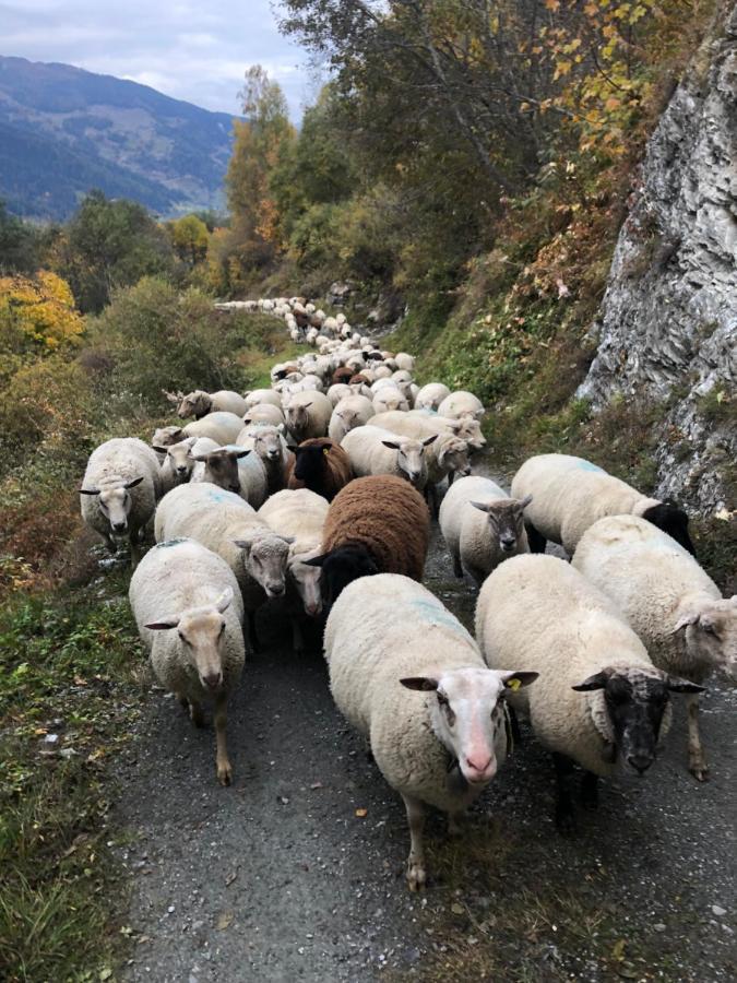 Hotel Grand-Combin Fionnay Bagian luar foto